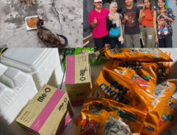 Banua Cat Lovers Gelar Aksi Rutin Memberi Makan Kucing Jalanan
